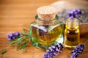 lavendel